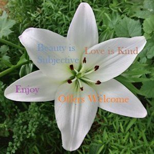 Bundle Any Two Items for $30